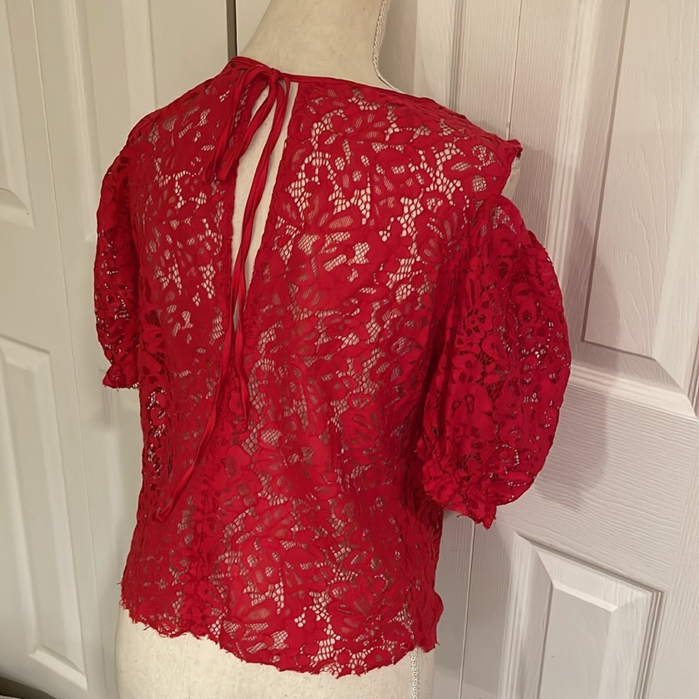 Zara LAce Top - Picture 10 of 10